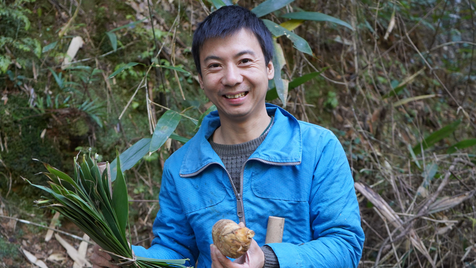 华农兄弟:看一下兄弟家的香菇,顺便摘点粽叶,再挖一个竹笋